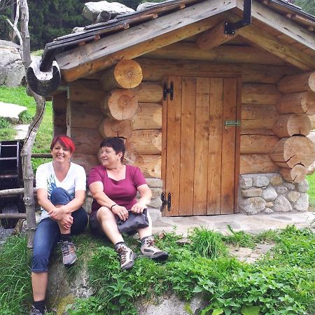 Stuebilerhof Lägenhet Ahrntal Exteriör bild